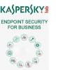 Kaspersky Endpoint Security  - 